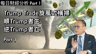 Trump Trade旋風式橫掃順Trump者生逆Trump者亡 #2024/11/12 part 1