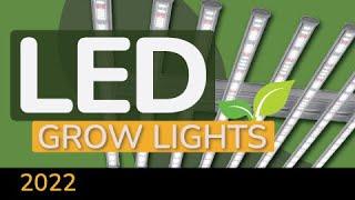 LED Grow Lights: Independent Buying Advice