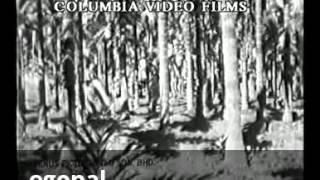 My Edited Video
