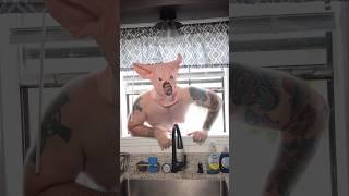 Cat trap house goes CRAZY