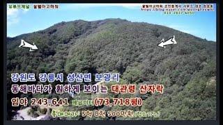 강원도 강릉시 성산면 보광리 임야 매매 대관령 산자락 임야 73,718평 매매(협의가능)