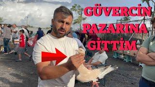 Emir İle Edirne Kapı Güvercin Pazarına Gittik ( Pazarın En Pahalı Suriyeli Getirmiş )