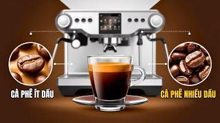 Bí mật tỷ lệ dầu trong hạt cà phê: Yếu tố quyết định ly espresso hoàn hảo