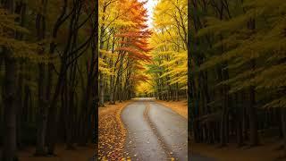 Relaxing Piano Music Peaceful Autumn Scenes for Tranquil Moments