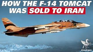 How 80 F-14 Tomcat Aircraft Where Sold To Iran | Documentary