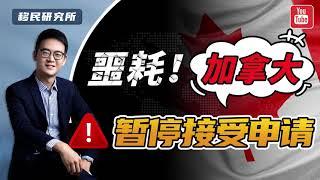 突发：加拿大阿尔伯塔省宣布暂停接受省提名AOS申请，重开时间待定！#移民 #移民加拿大 #加拿大移民 #加拿大雇主担保 #加拿大雇主担保移民 #加拿大省提名 #加拿大移民方案 #加拿大枫叶卡