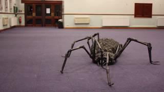 Life Size Stop Motion Spider