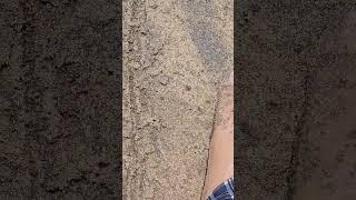 beach life #beach #4k #beach #shorts #ytshorts #vlog #life #heartbreak