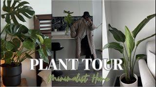 HOUSE PLANT TOUR 2022  || Minimalist Home | Vancouver, Canada 