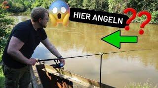 IST DAS VERRÜCKT – Macht Angeln hier und jetzt Sinn? Grewald unterwegs am Fluss