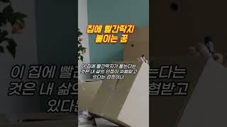 집꿈, 집에 빨간딱지 붙이는 꿈 #꿈해몽 #예언 #예지몽 #집꿈