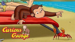 Vacation Chaos!  Curious George  Kids Cartoon  Kids Movies