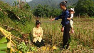 Single Mother Wanders In The Forest, Starves For Days And Eats Forbidden Fruit