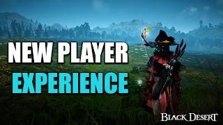 First 500 Hours In Black Desert Online