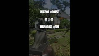 인생 억울함없이 살라 #도전 #책사임당 #책튜버