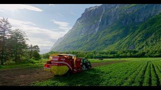 Sunndalspotet AS - Poteter i verdensklasse