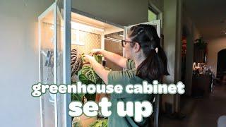 setting up my greenhouse cabinet at the new house 