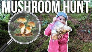 Family Foraging Fun: Teaching the Kids how to Hunt Edible Mushrooms in Alaska | Kilcher Homestead