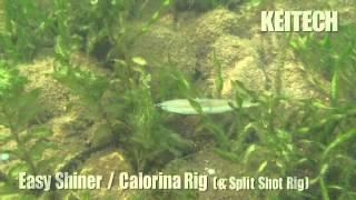 Easy Shiner - California Rig & Split Shot Rig