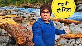 जड़ से उखड़ गया पेड़ || Pahadi lifestyle vlogs || Akki ke vlogs