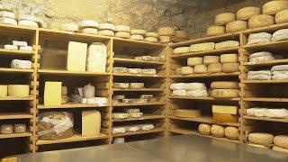 The French passion for cheese and how ways to eat it are changing