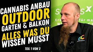 Cannabis Anbau Outdoor Balkon & Garten  -  Alles was du wissen musst Teil 1 von 2