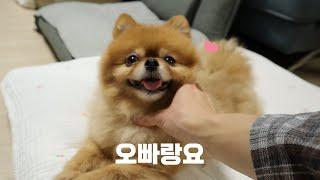 엄마 없이도 송이는 잘 지낼 수 있어요! 잠깐은..