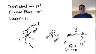 Are Lone Pairs in Hybrid Orbitals? sp2 confusion!