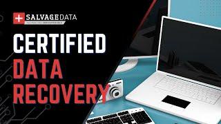 Protect Your Business: Professional Data Recovery Solutions