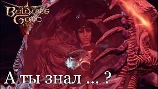 Что случится если убить Шэдоухарт на корабле? | Baldur's Gate 3 [patch 9]