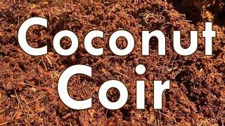 Coconut Coir  Better than Potting Soil?