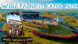 BUKIT KAYOE PUTIH wisata terbaru Mojokerto virall