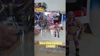 Is this the Ugliest WWE Elite Figure Made Candice lerae