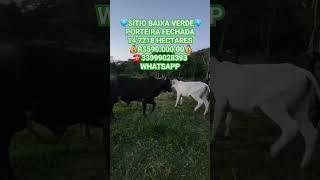 SÍTIO BAIXA VERDEPORTEIRA FECHADA 14,7218 HECTARES R$590.000.00️33999028393 WHATSAPP
