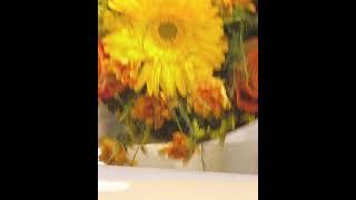Order from Daily Bloom