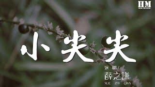 薛之謙 - 小尖尖『都心照不宣 多少有些遮掩』【動態歌詞Lyrics】