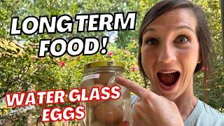 How To Water Glass EGGS (So EASY) For Long Term Food Storage - Last YEARS! | Off Grid Pantry