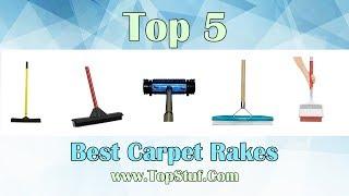 Top 5 Best Carpet Rakes 2019