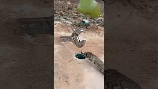 Simple new DIY snake trap using hole trap #creativesnaketrap #snake #easytrap