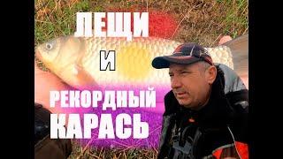 Жор ЛЕЩА и баклан.  Взаимодействие