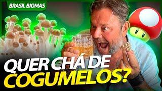 MUITO CUIDADO COM OS COGUMELOS QUE VOCÊ COME! | RICHARD RASMUSSEN