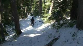 Neil Takes a Hike on Mt. Hood