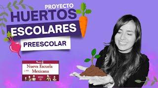 HUERTOS ESCOLARES | PROYECTO | NUEVA ESCUELA MEXICANA