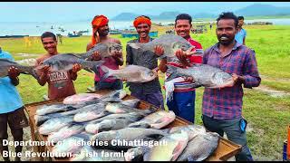 Dudhawa Reservoir Dhamtari | Fish Farming in Chhattisgarh