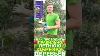 #обрезкадеревьев #обрезкадерева #аминосилконцентрат #обрезкаяблони #летняяобрезкадеревьев #сад