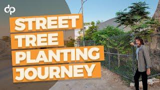 Street Planting Journey at the Greening the Desert Project