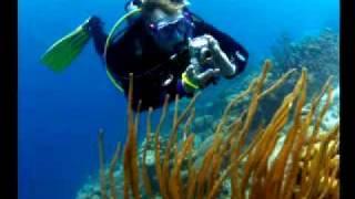 PADI Scuba Diving Lessons: PADI Digital Underwater Photographer Course