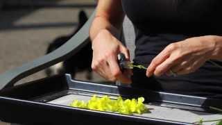 Trimming Trays for Flowers in Garden | Pollen Collecting Trim Tray | Essentail Oil Harvesting Trays