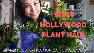 West Hollywood, CA Plant Haul | March 2018 | ILOVEJEWELYN