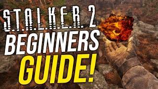 STALKER 2 Beginners GUIDE! Best Tips & Tricks To Survive and Profit!